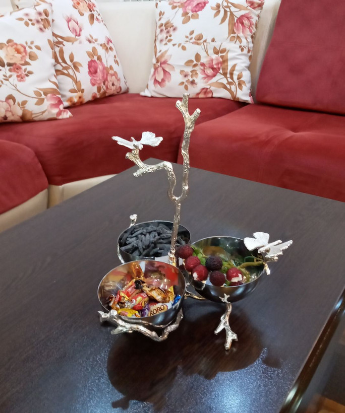 اردوخوری 3خونه پروانه