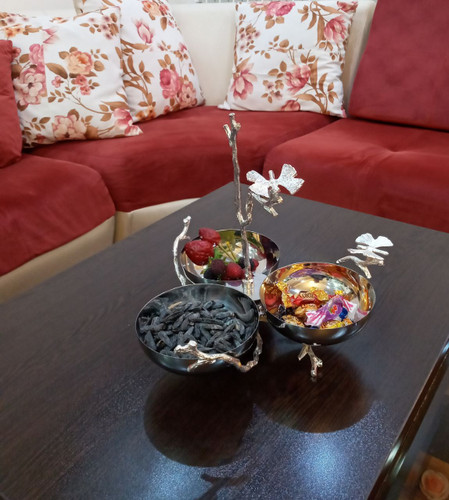 اردوخوری پروانه سیلور